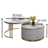 AMI-A114 2 Pieces white Round Nesting Metal with Wooden Coffee Table