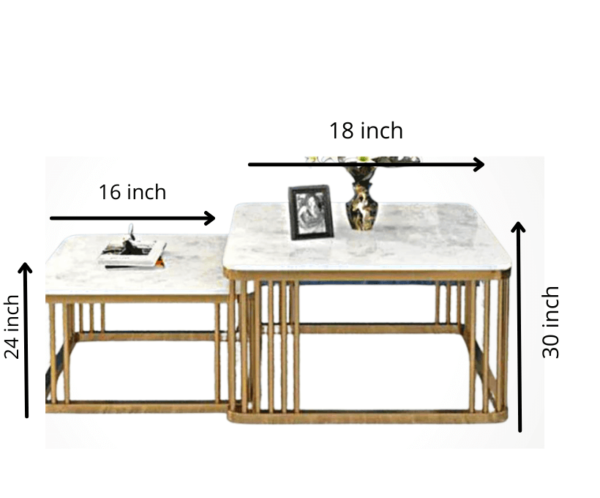 Nesting Table Black and white set of 2